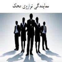 نمایندگی ترازوی محک