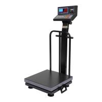 باسکول محک ثابت 200 کیلوگرم مدل 13000 پلاس چاپگردار سینی گالوانیزه